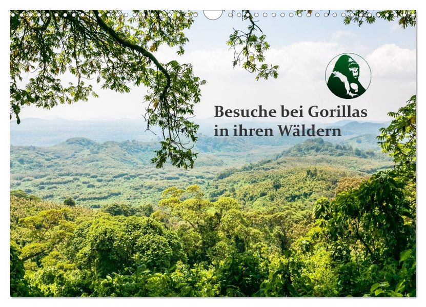 Besuche bei Gorillas in ihren Wäldern (Wandkalender 2027 DIN A3 quer) CALVENDO Monatskalender