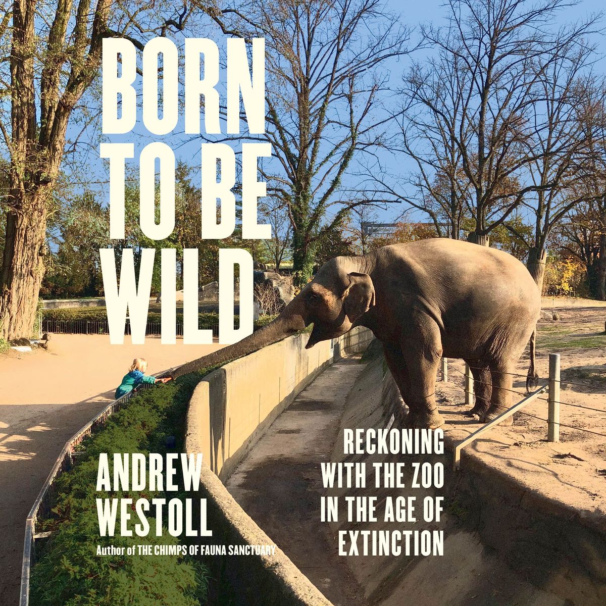 Born to Be Wild