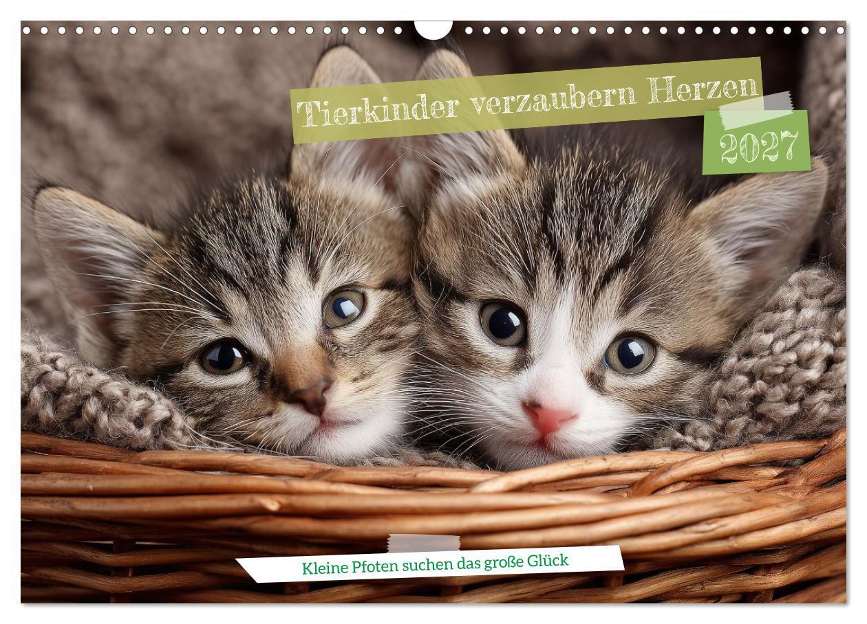 Tierkinder verzaubern Herzen (Wandkalender 2027 DIN A3 quer) CALVENDO Monatskalender