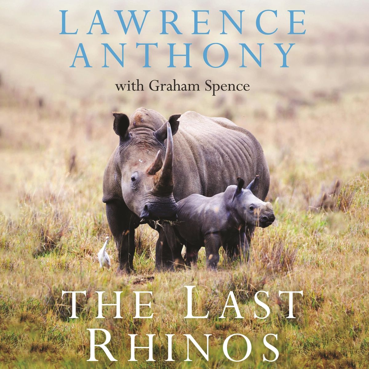 The Last Rhinos