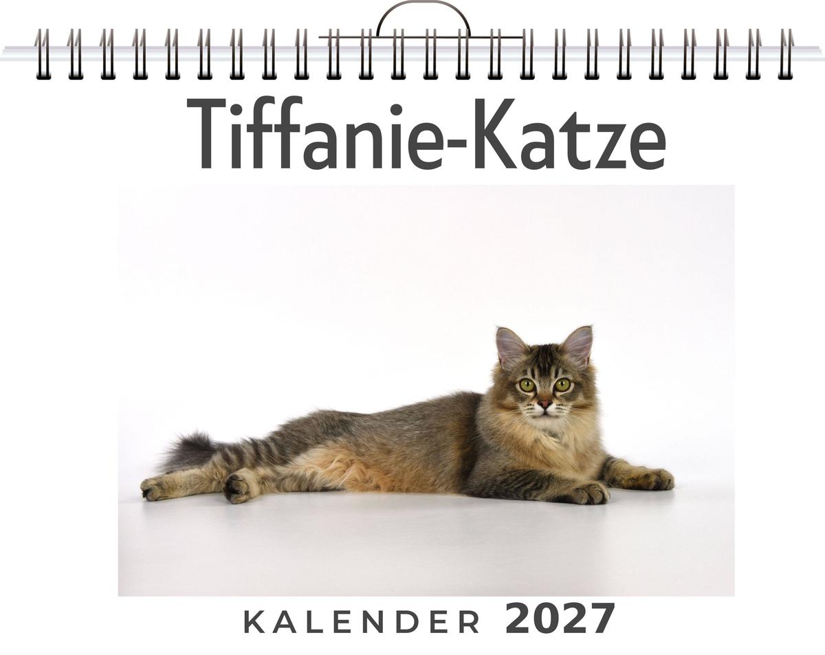 Tiffanie-Katze
