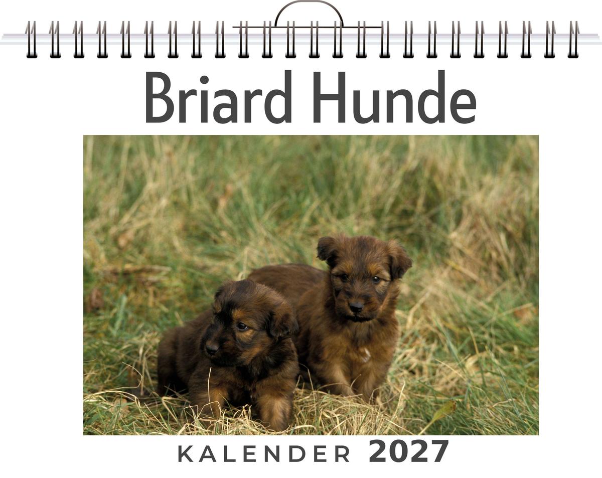 Briard Hunde
