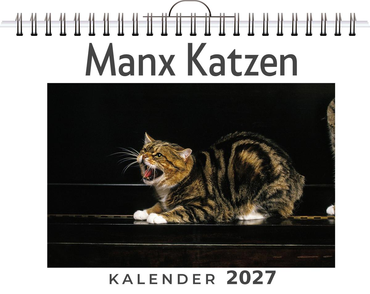 Manx Katzen