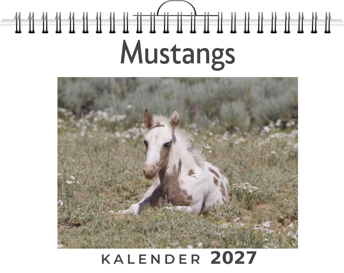 Mustangs