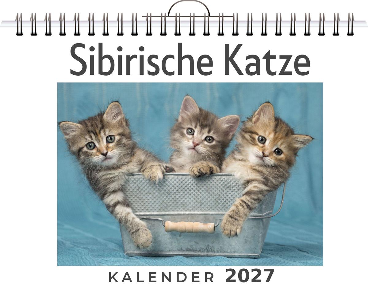 Sibirische Katze