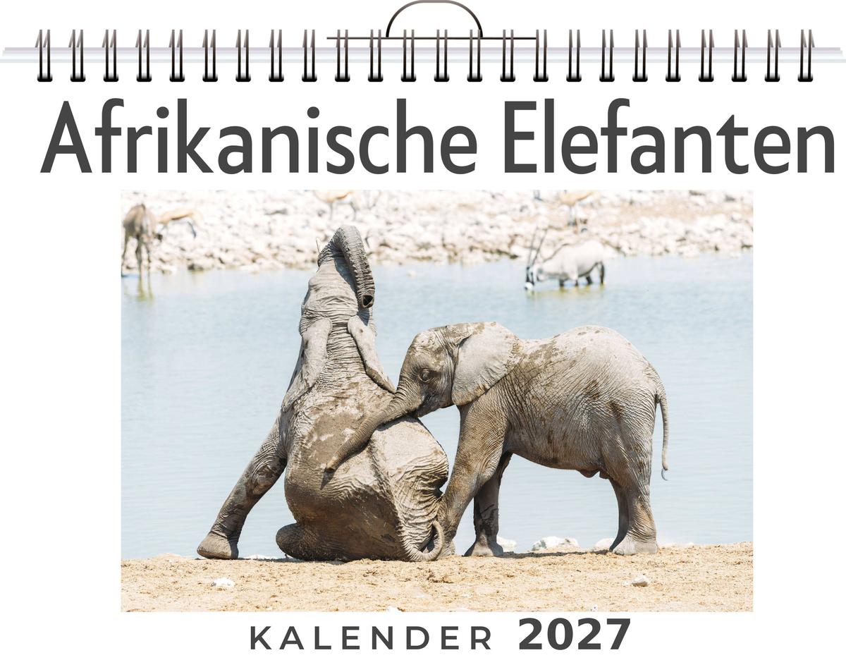 Afrikanische Elefanten