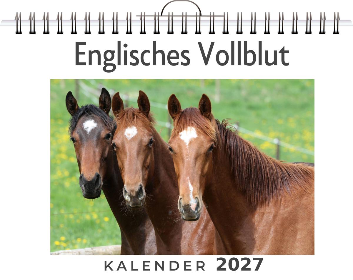 Englisches Vollblut
