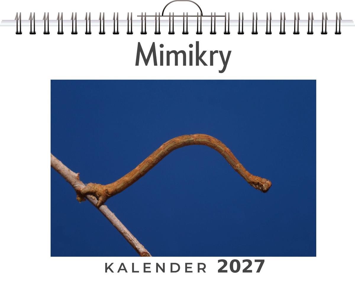 Mimikry