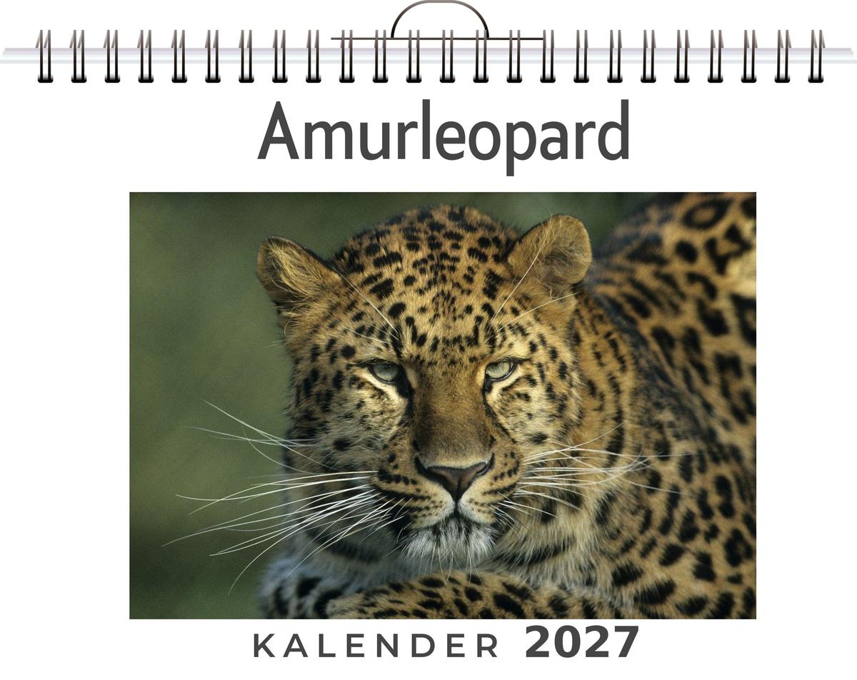 Amurleopard