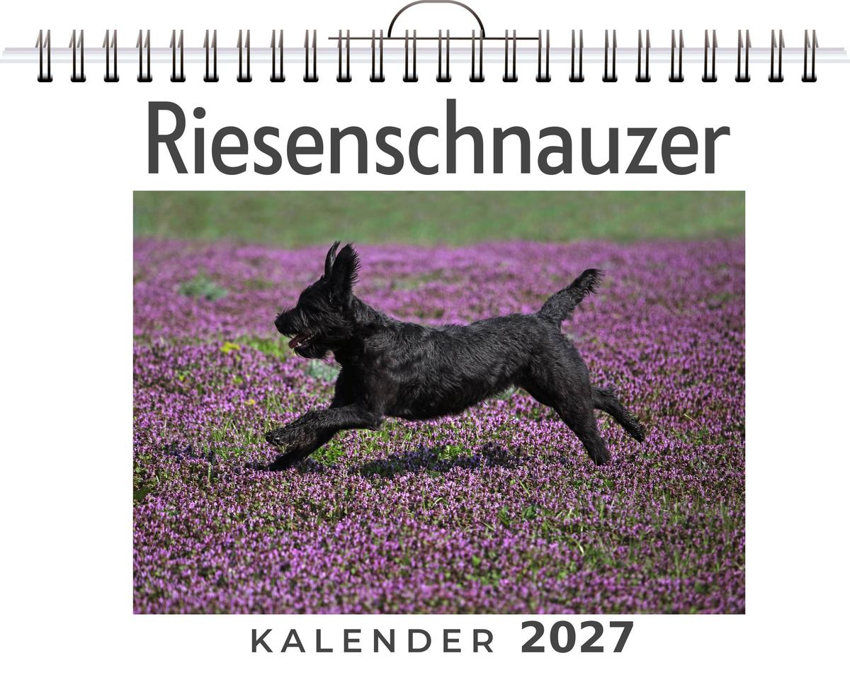 Riesenschnauzer