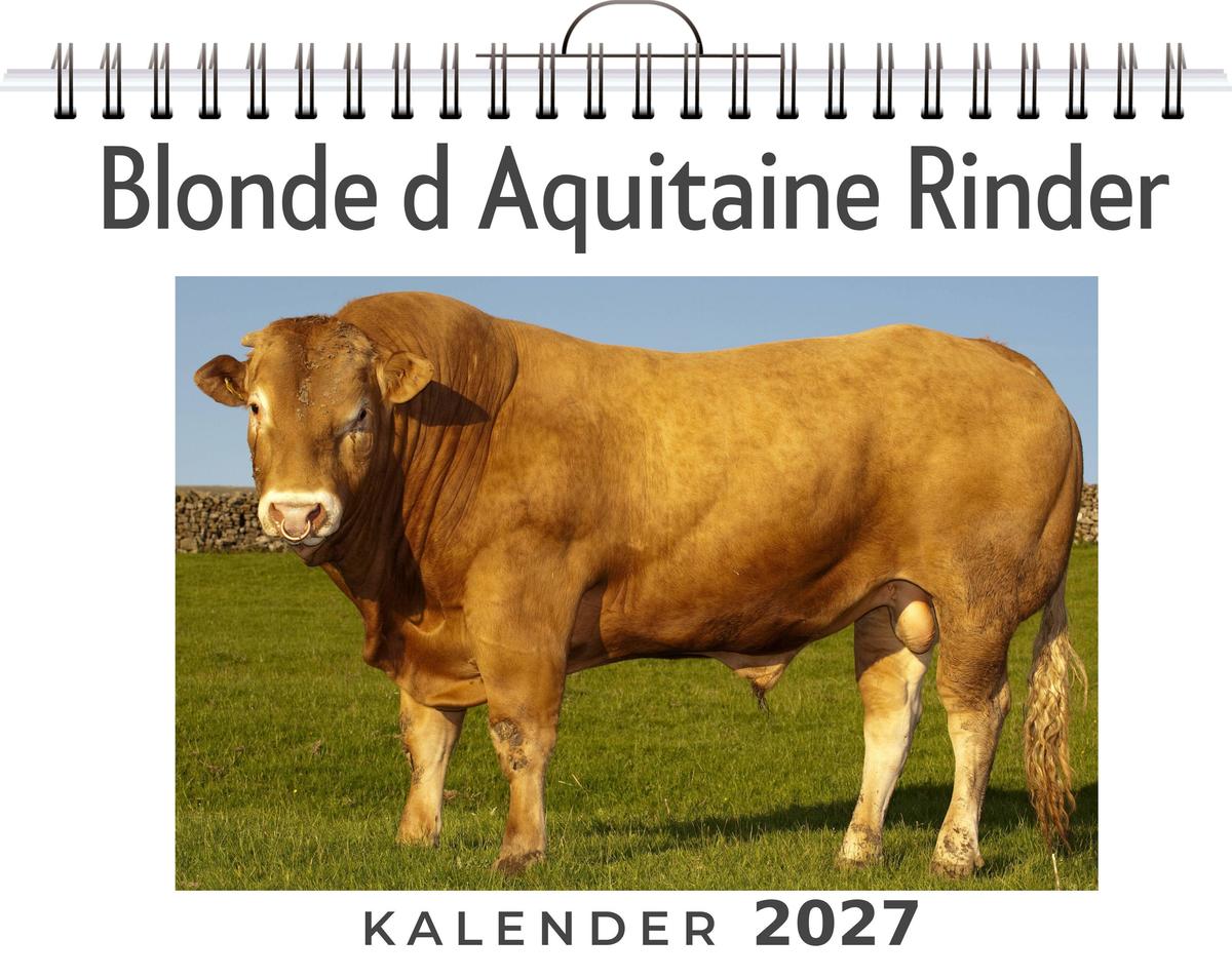 Blonde d Aquitaine Rinder