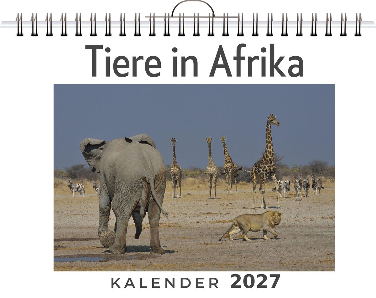 Tiere in Afrika