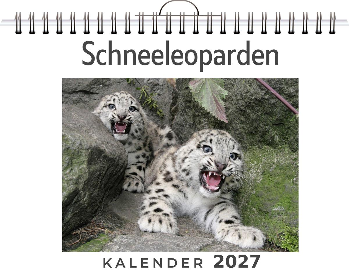 Schneeleoparden