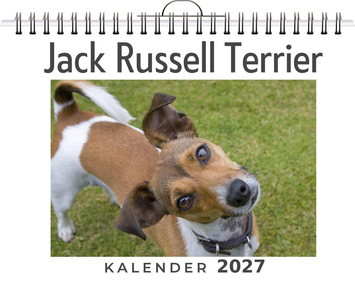 Jack Russell Terrier