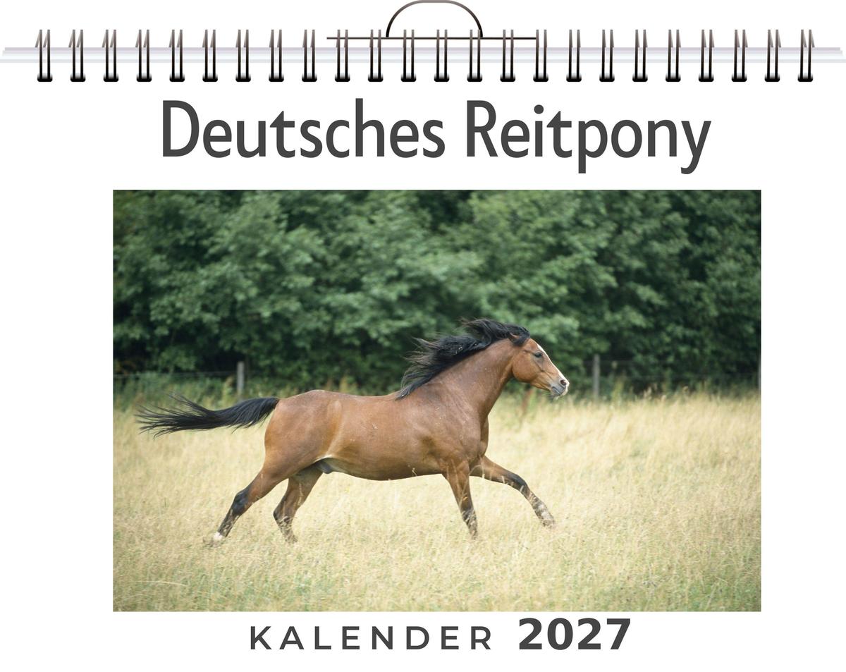Deutsches Reitpony
