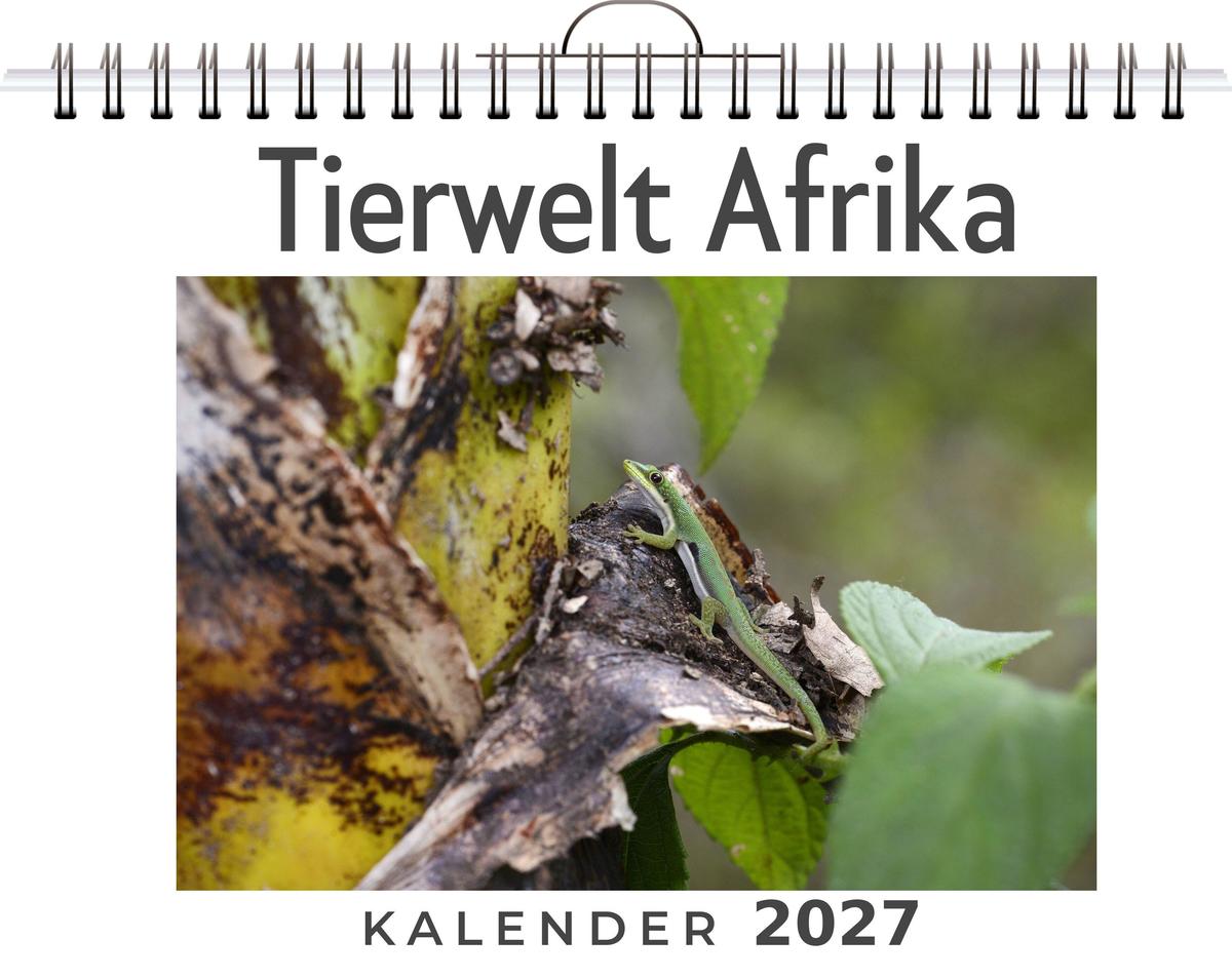 Tierwelt Afrika