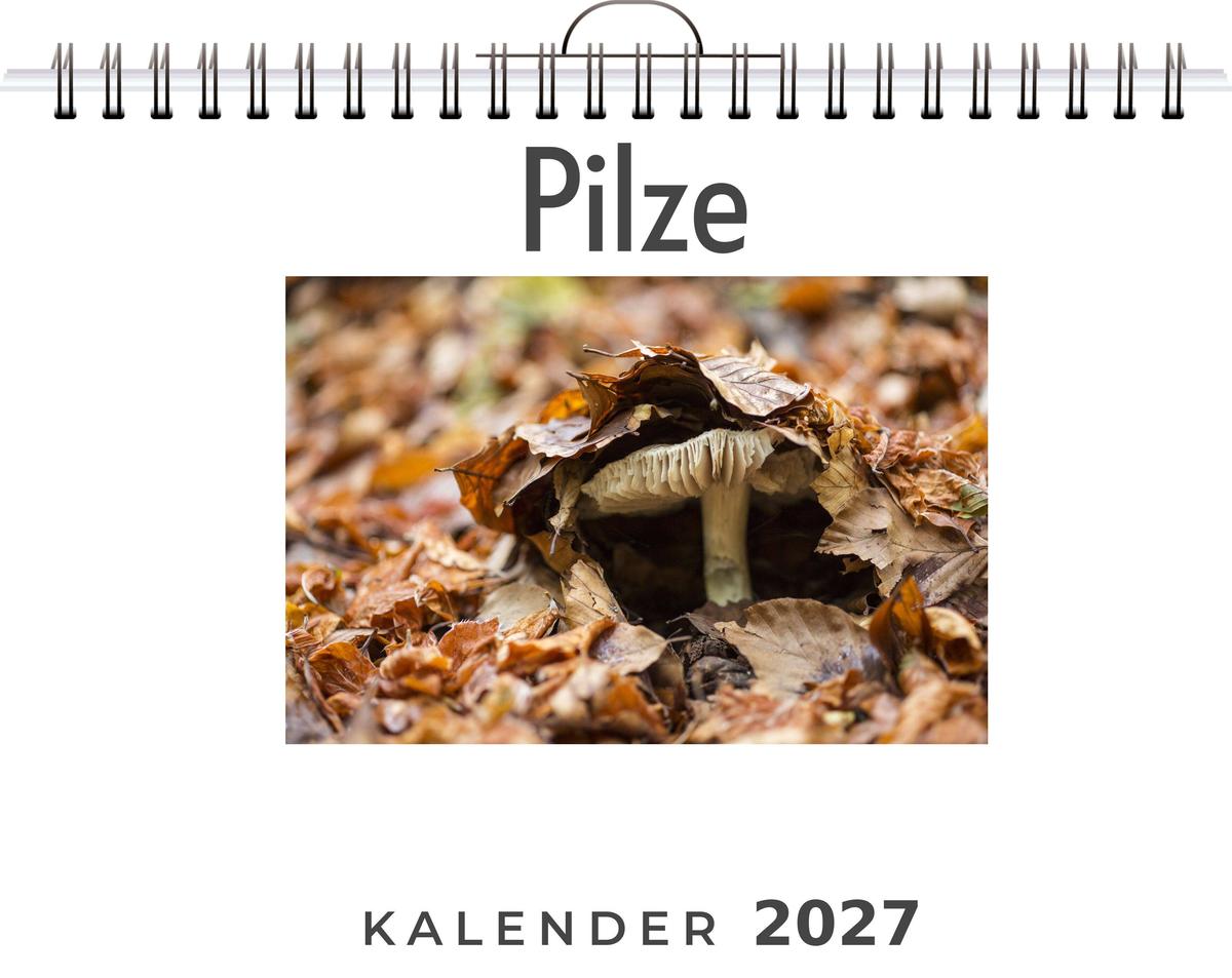 Pilze