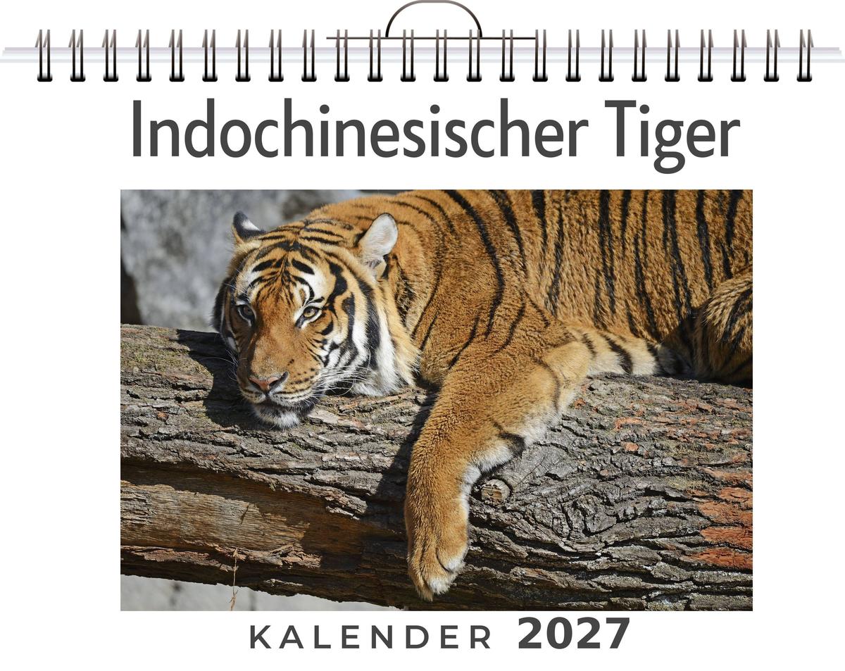 Indochinesischer Tiger