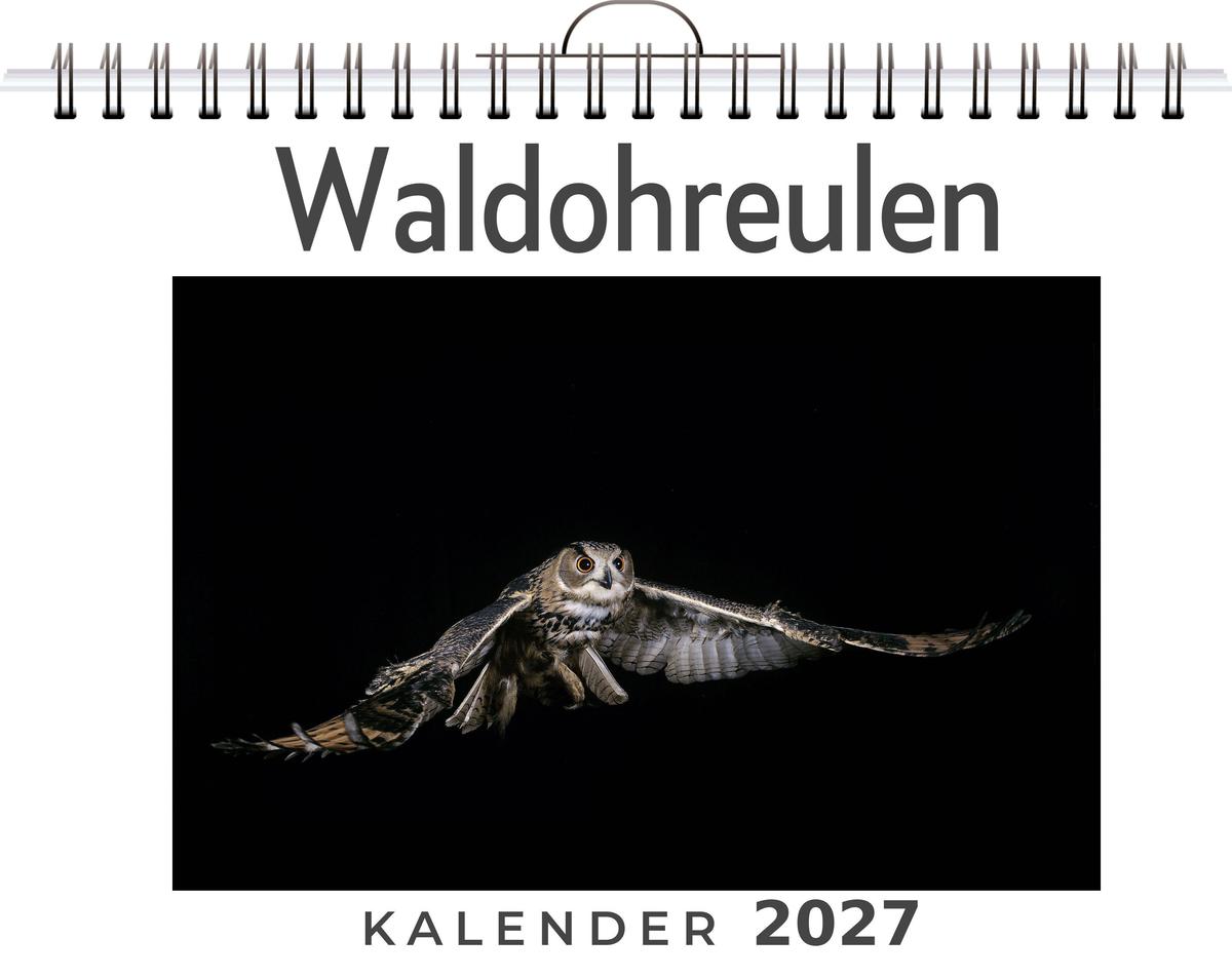 Waldohreulen