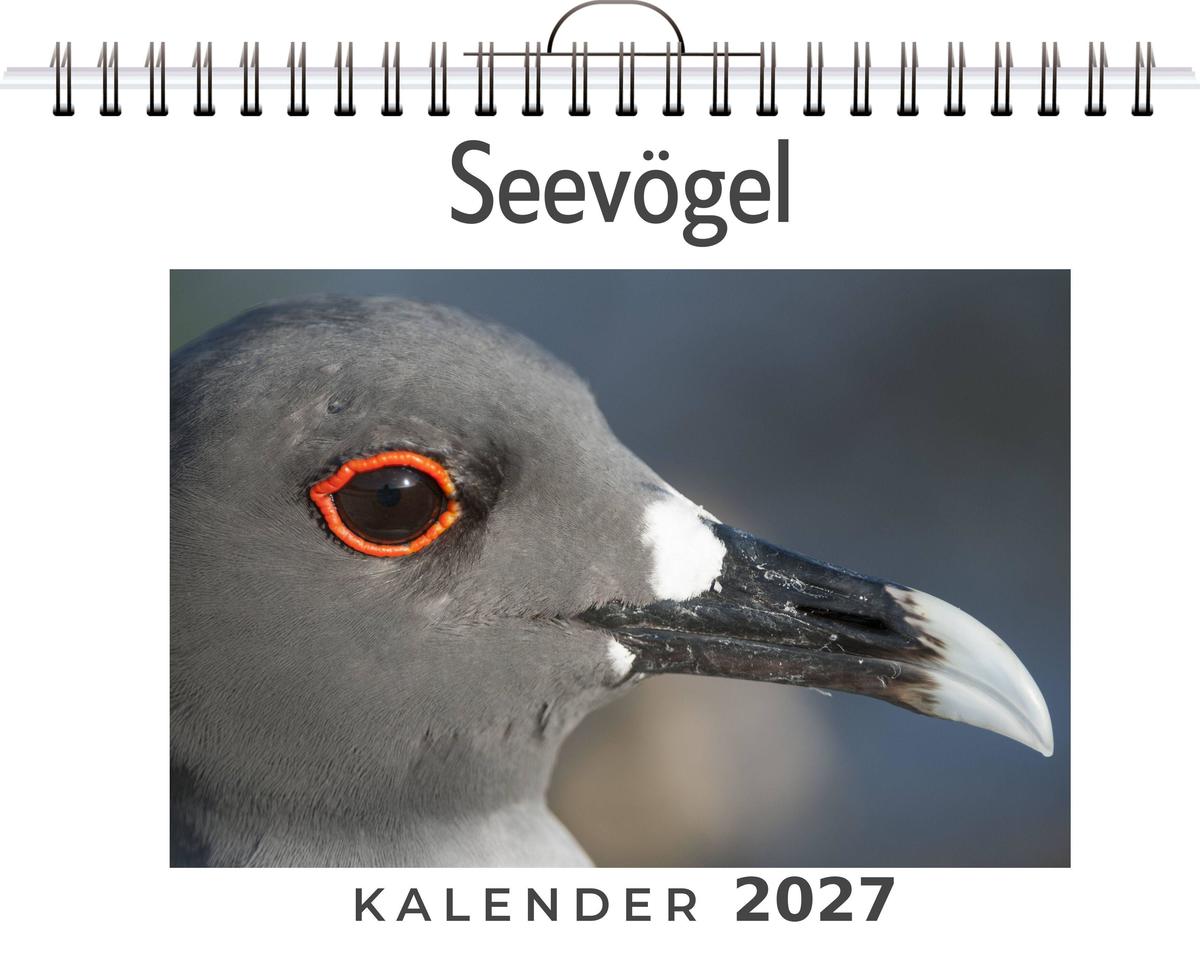 Seevögel
