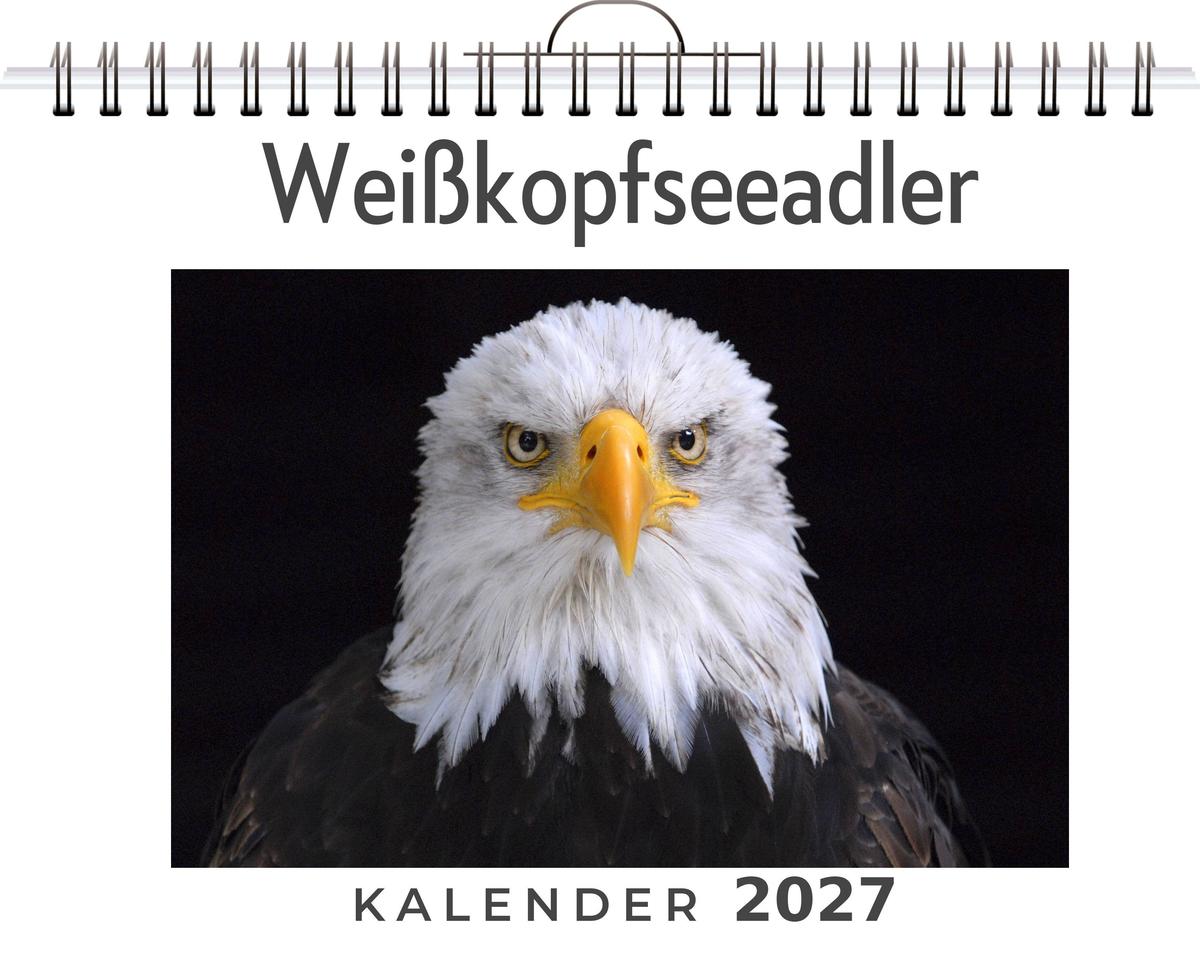 Weißkopfseeadler