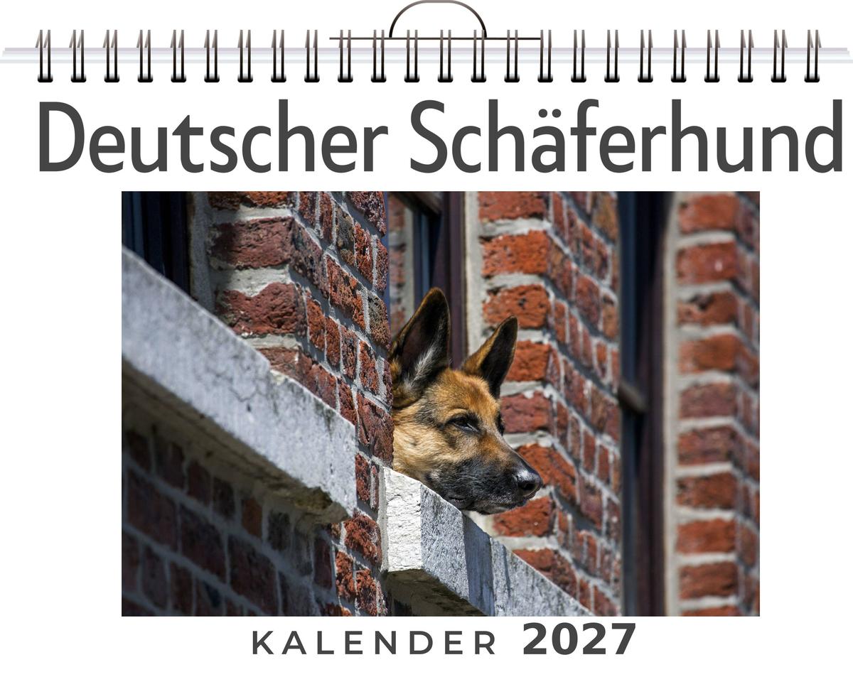 Deutscher Schäferhund