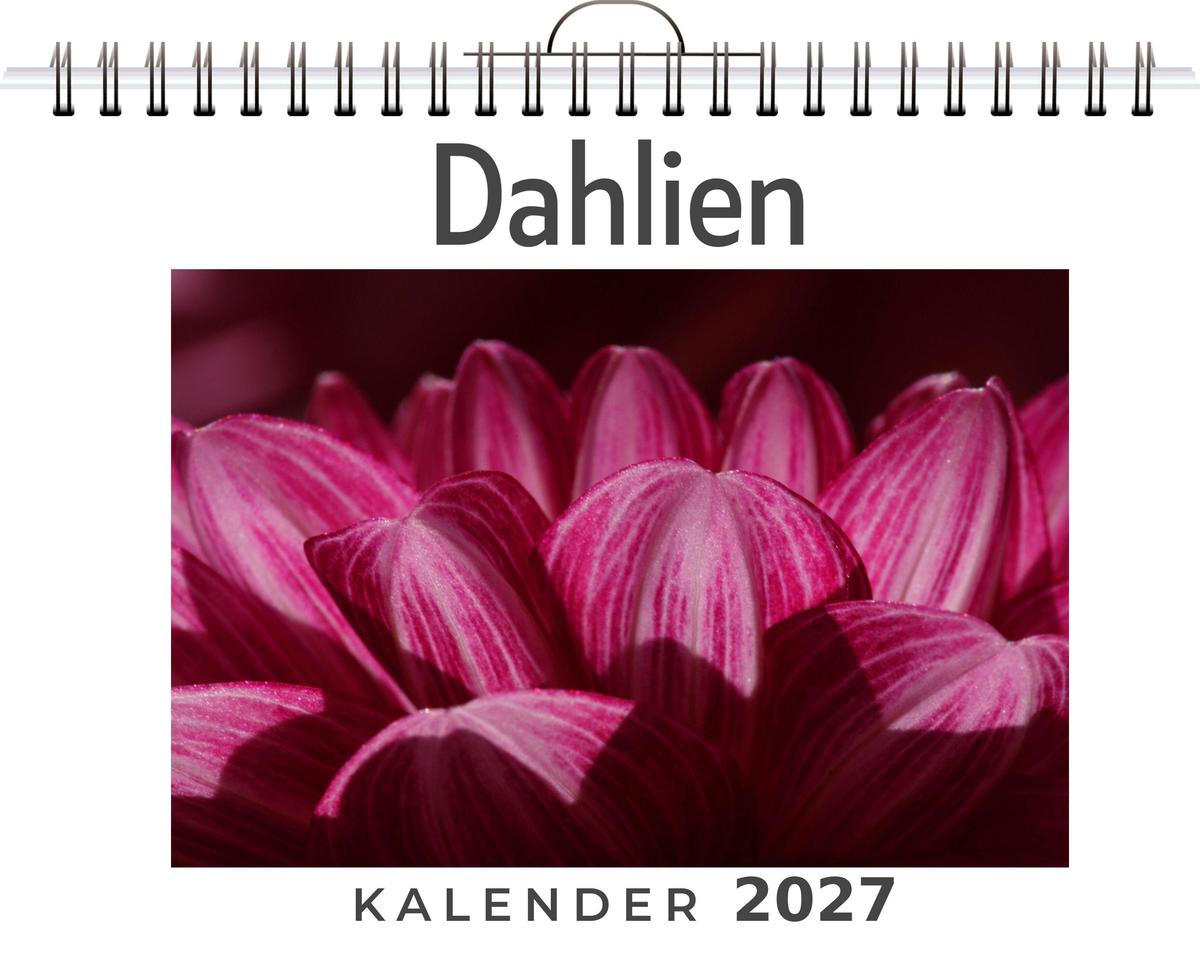 Dahlien