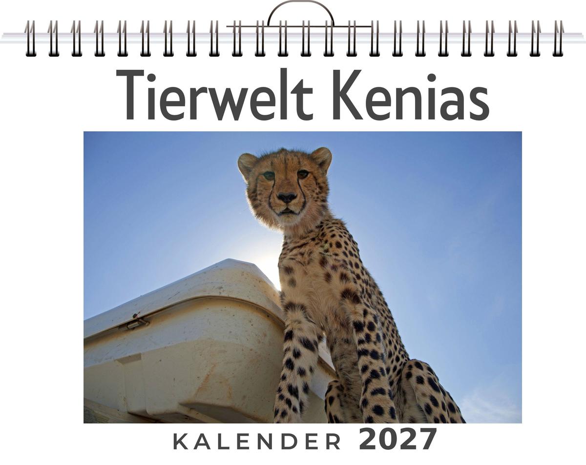 Tierwelt Kenias
