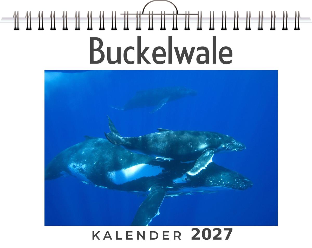 Buckelwale