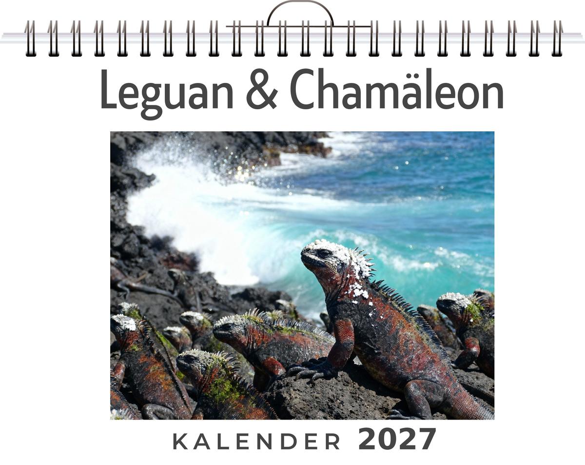 Leguan & Chamäleon