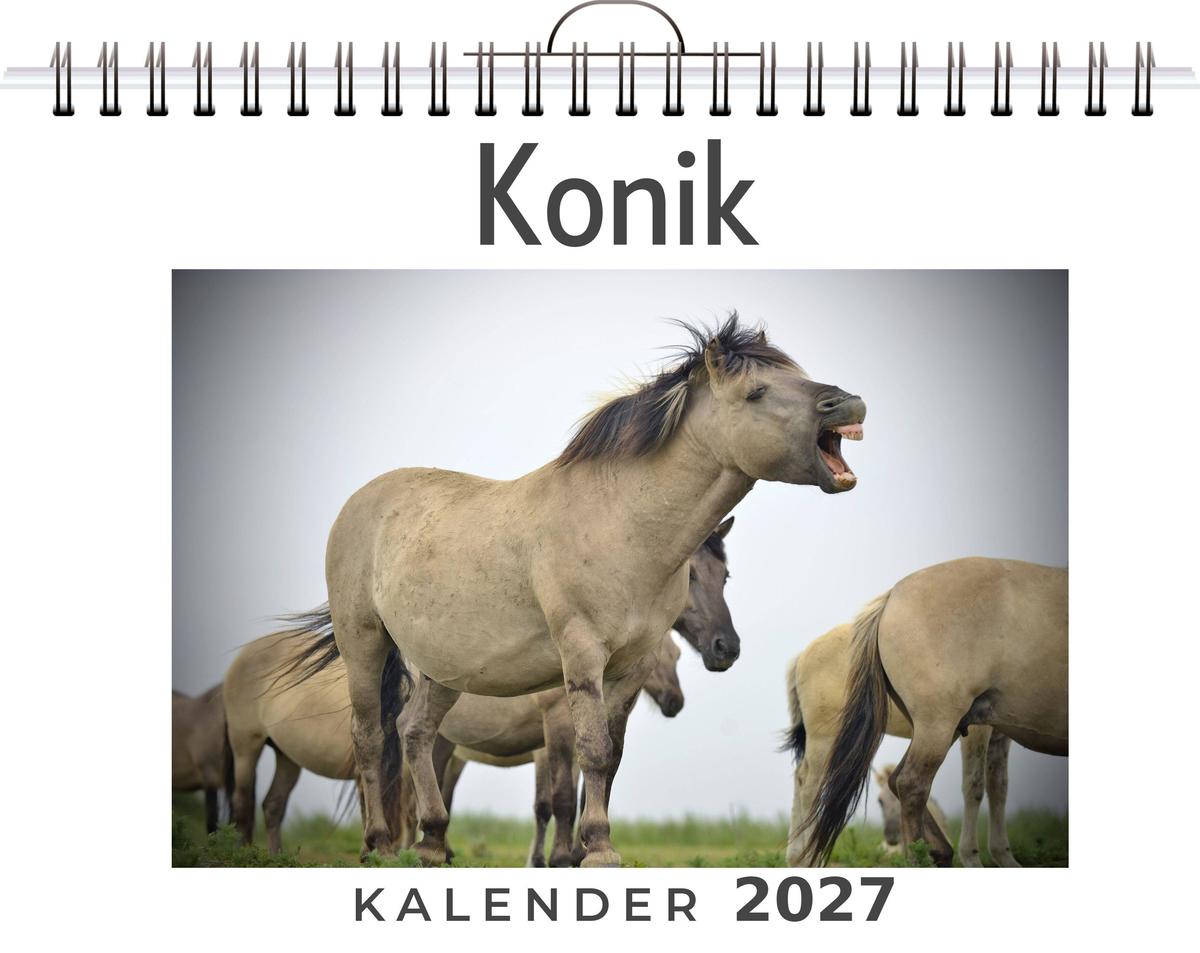 Konik