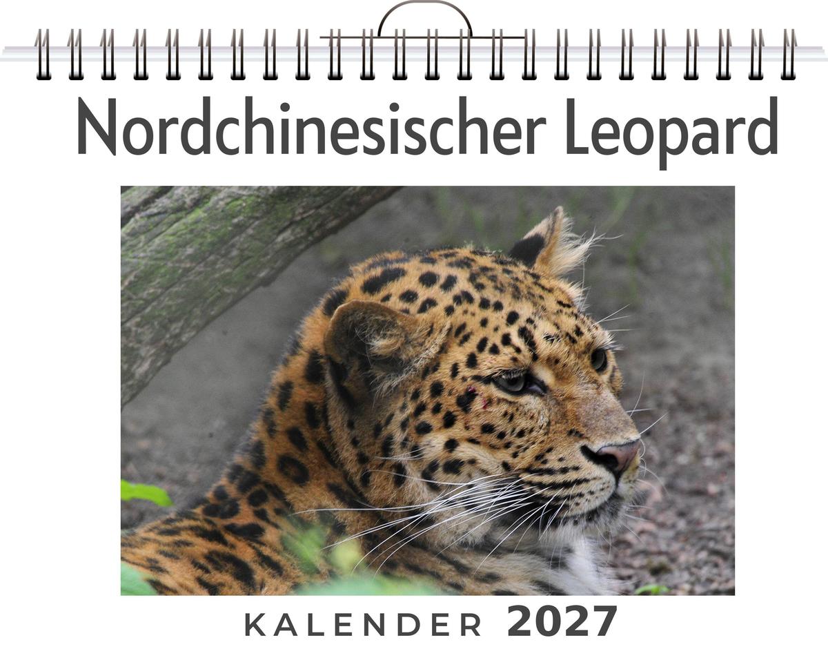Nordchinesischer Leopard