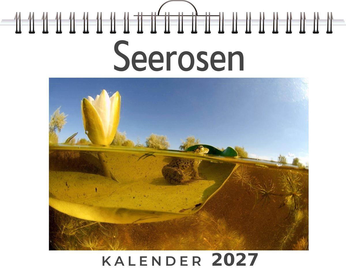 Seerosen