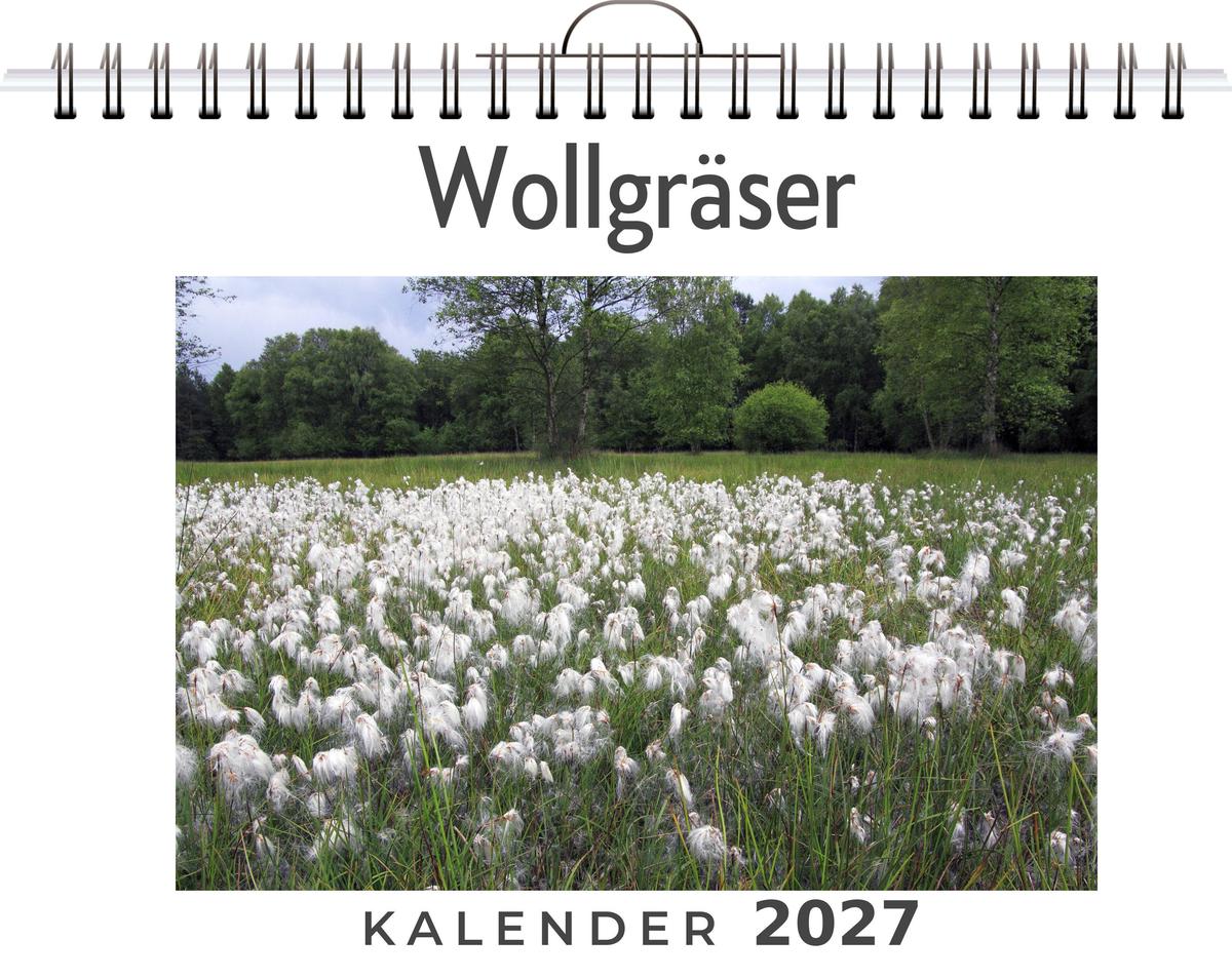 Wollgräser
