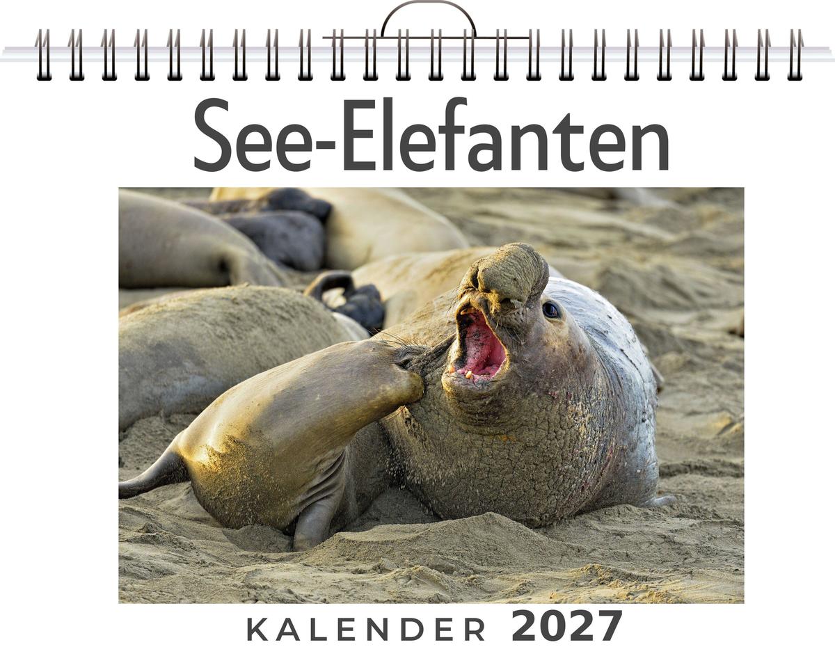 See-Elefanten