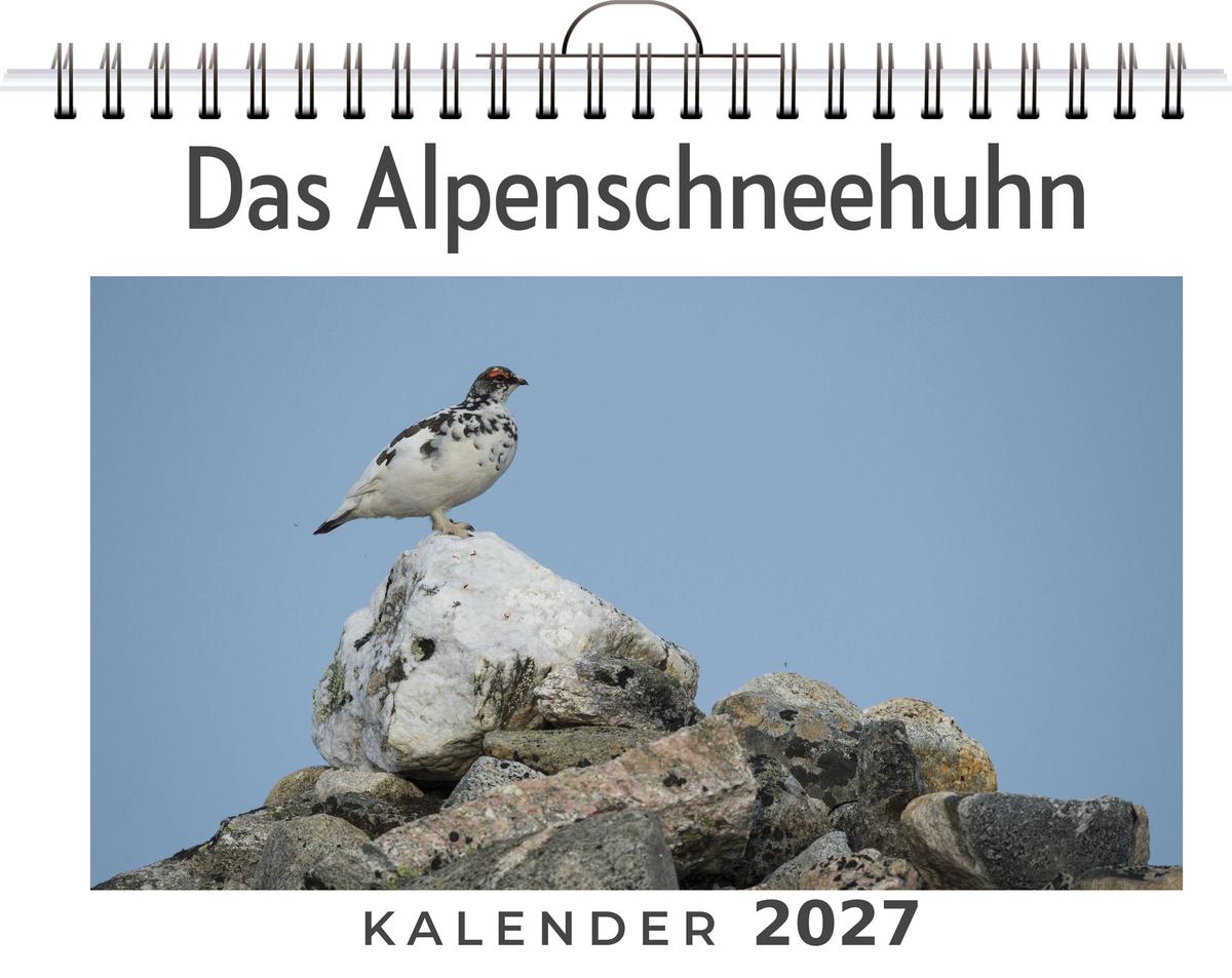 Das Alpenschneehuhn