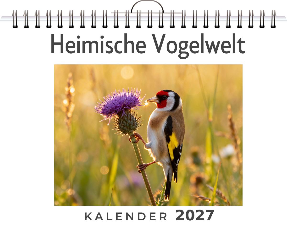 Heimische Vogelwelt