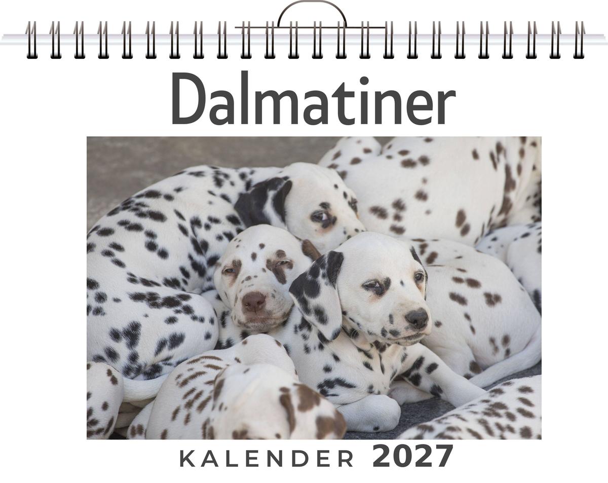 Dalmatiner