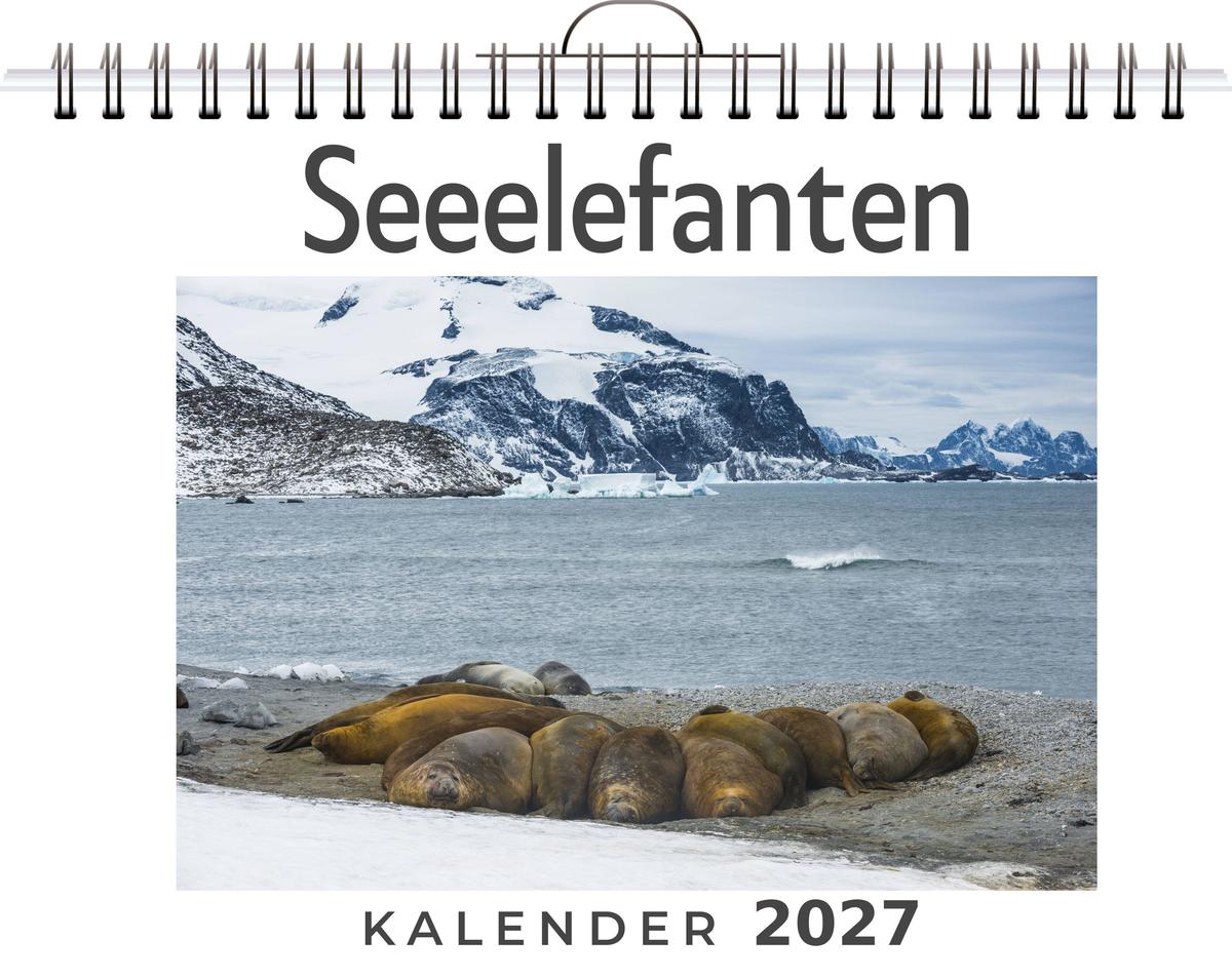 Seeelefanten