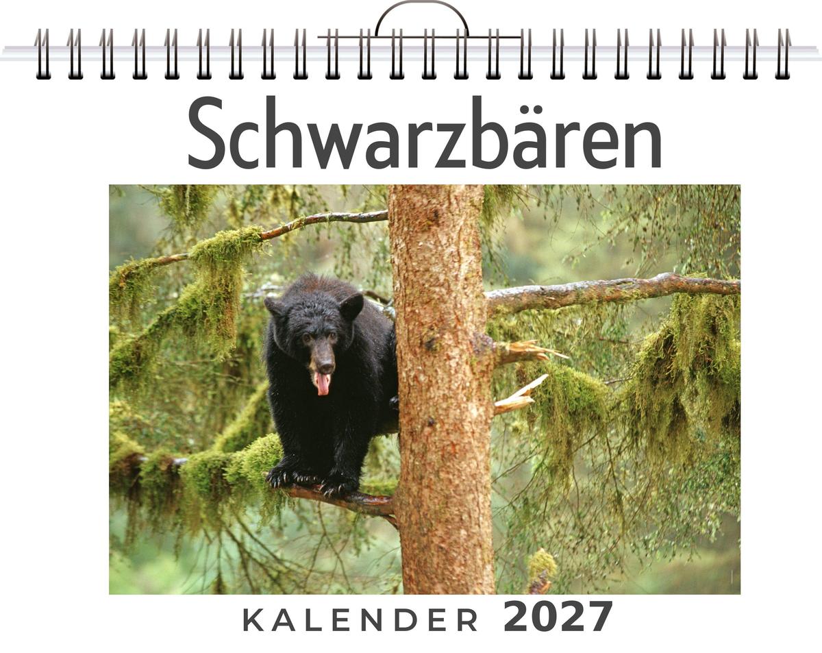 Schwarzbären