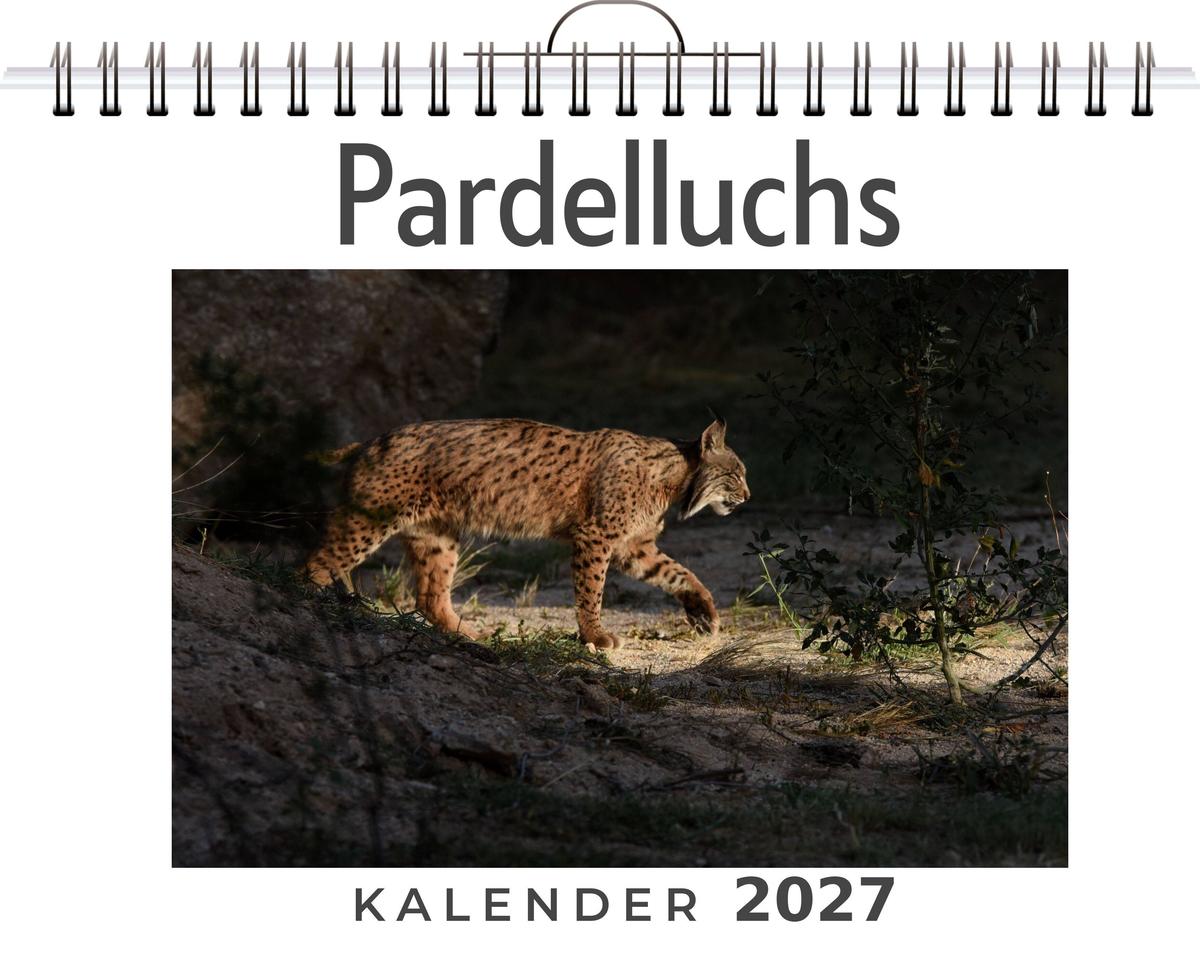 Pardelluchs