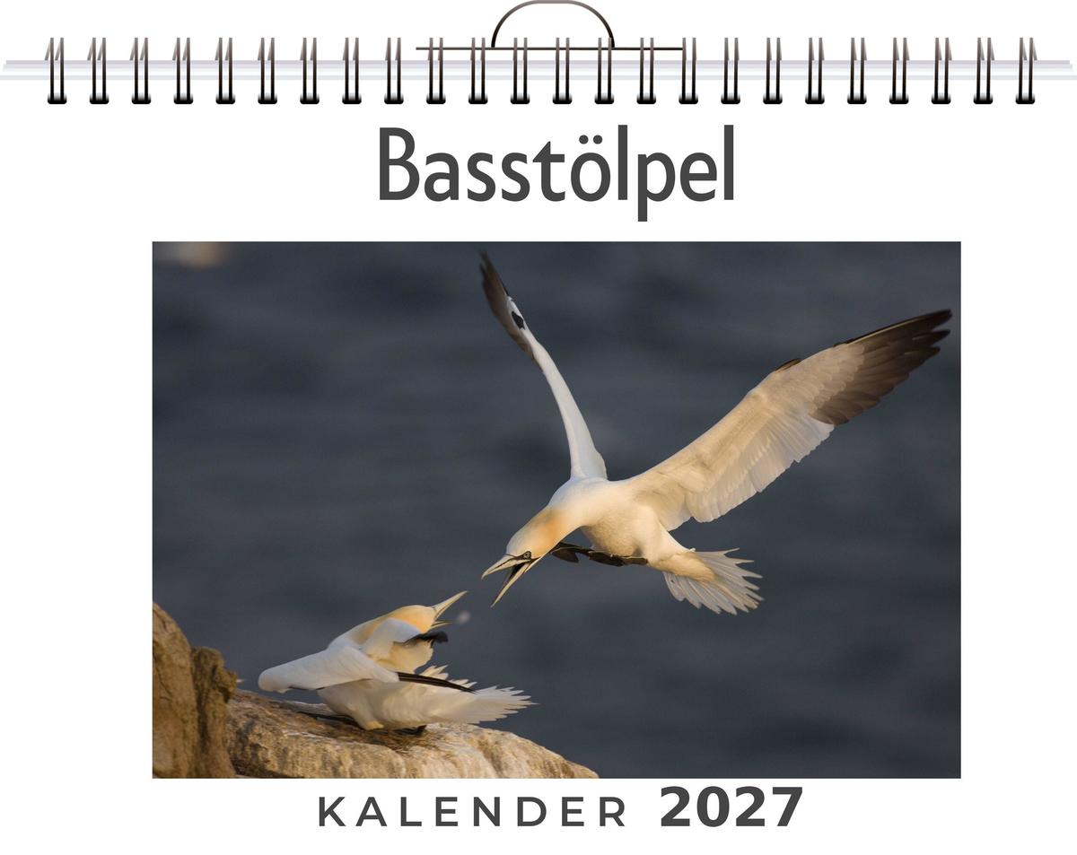 Basstölpel
