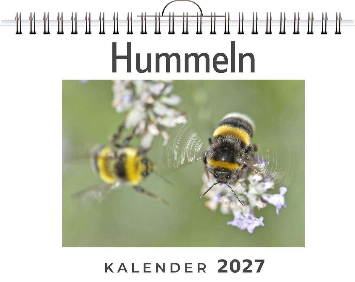 Hummeln