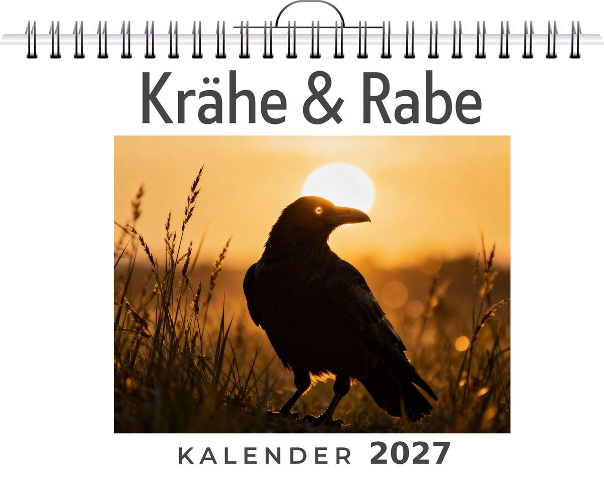 Krähe & Rabe