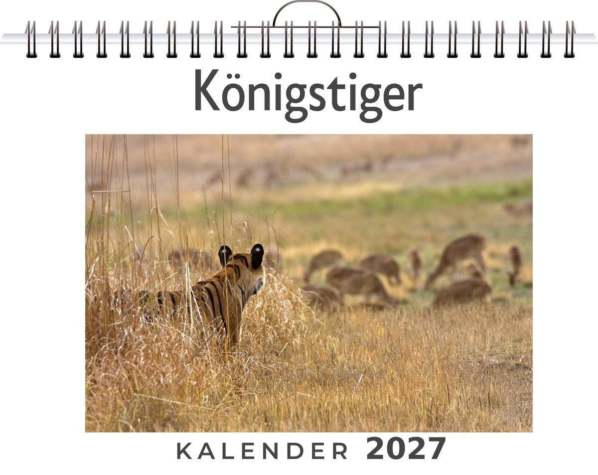 Königstiger
