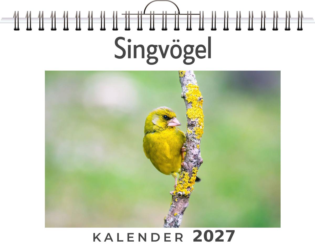 Singvögel