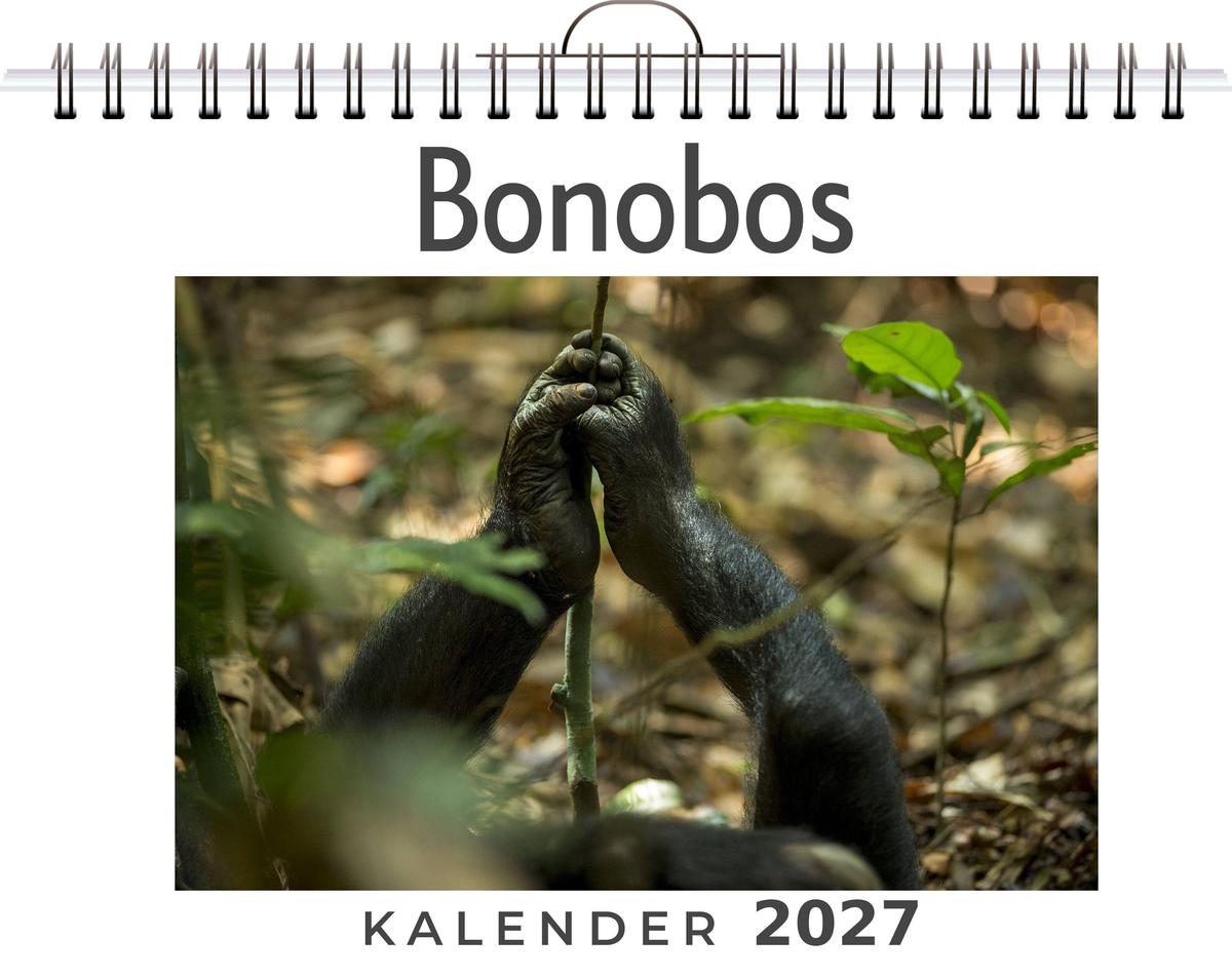 Bonobos