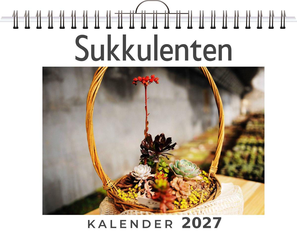 Sukkulenten
