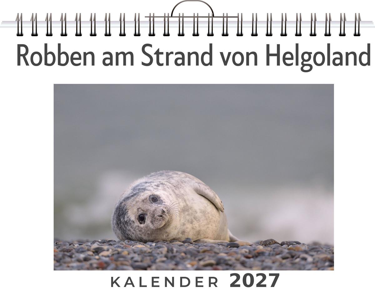 Robben am Strand von Helgoland
