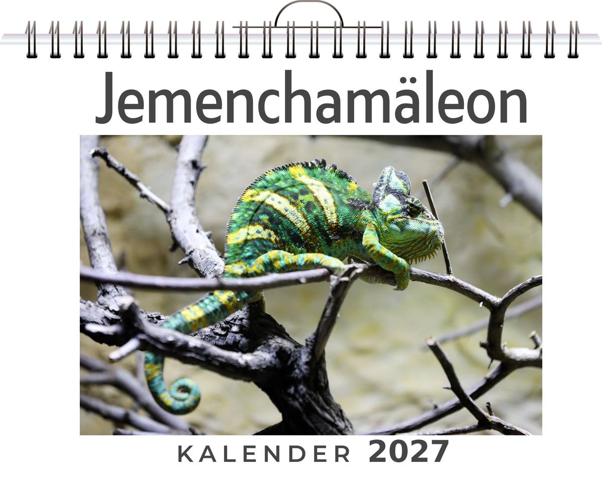 Jemenchamäleon